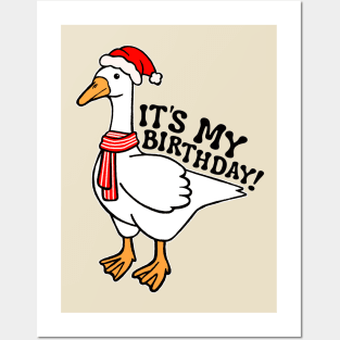 December Birthday Silly Goose Posters and Art